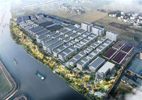 盛泽镇为高质量发展与现代化建设添动能、增动力