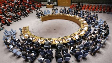 俄中否决美就委内瑞拉问题提交的联合国安理会决议草案 - 2019年3月1日, 俄罗斯卫星通讯社