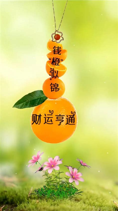 财运亨通图片