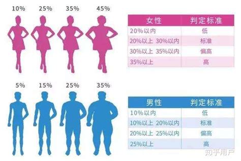 中国儿童超重、肥胖体重指数BMI分类标准（kg/m2）_身高
