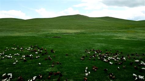草原游，带您领略不一样的内蒙古草原__凤凰网