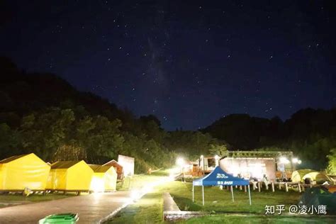 广州乡野度假，北纬23度8森林营地，超适合亲子家庭过周末|营地|亲子|森林_新浪新闻