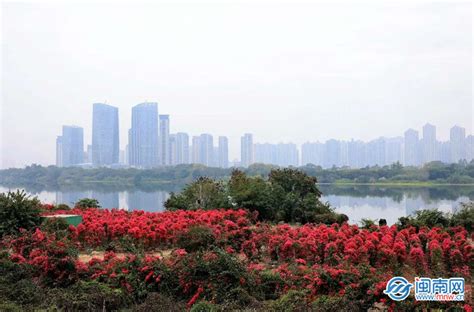 漳州高新区：龙江岁月项目（二期）建设全面启动