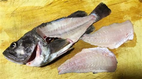 鱼刺最多的鱼排行,鱼刺多少排名,有很多细刺的海鱼_大山谷图库
