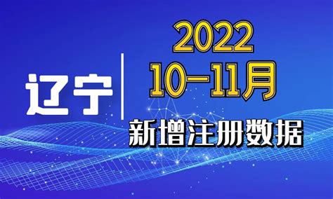 2022年10月-11月份辽宁省新工商企业名录 - 中国行业客户资源网