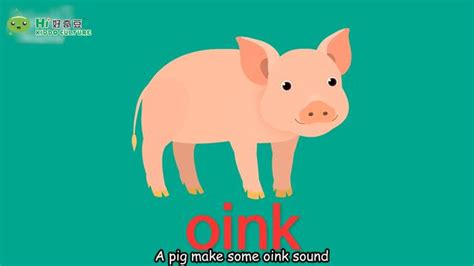 oink怎么读猪的叫声,猪叫声,笑出猪叫声的图片_大山谷图库