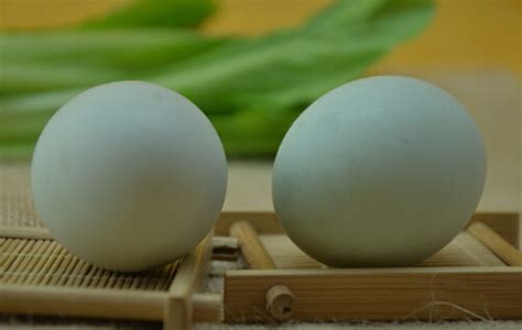 【鸭蛋】鸭蛋图片介绍_鸭蛋的营养价值_中华康网