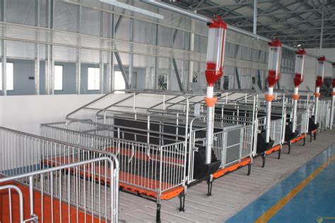 广州市华南畜牧设备有限公司——养鸡设备|养猪设备|畜牧设备