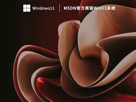 MSDN原版Win11下载_MSDN官方原版Win11系统下载 - 系统之家