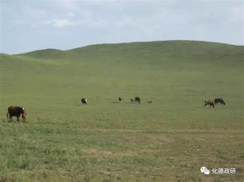 【印象化德】化德县历史沿革（一）-草原元素---蒙古元素 Mongolia Elements
