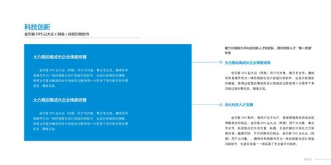 erp项目描述-Word模板下载_编号ljwdpddz_熊猫办公