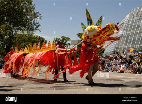London, UK. 14th February 2016. Dragon dancers perform during the ...