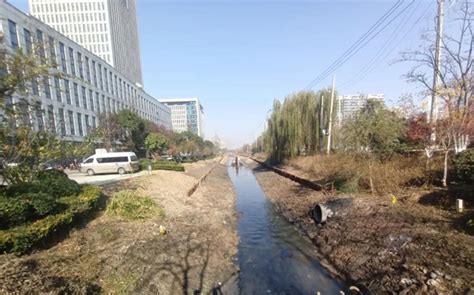 案例分享 | 灵璧县岳洪河黑臭水体生物修复_污染