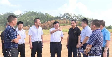 来宾市兴宾区领导到乡镇调研木材产业园项目规划建设进展情况-中国木业网