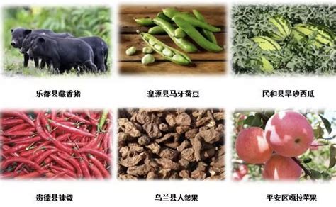 北京（青海）新发地农副产品批发市场开业--首页
