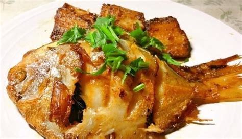 食人鲳鱼图片