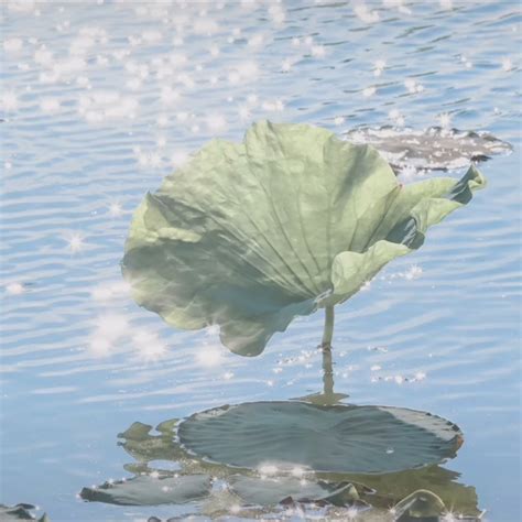 非主流五黑头像