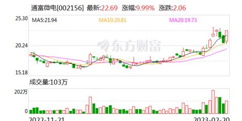 通富微电(002156)龙虎榜数据(02-20)_手机新浪网