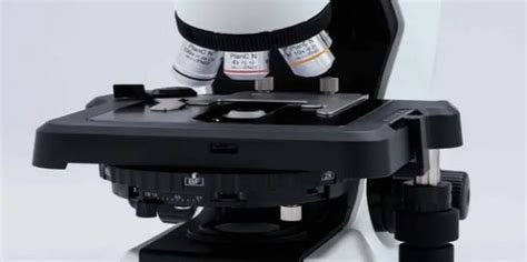 光学显微镜买多少倍(如何选择适合自己的光学显微镜倍数？) - 显微镜排行榜