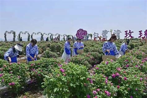 打卡老家河南 方城县杨楼镇: 湖光山色白鹭湾 产业带动旅游兴-大河新闻