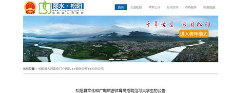 2022浙江省丽水市松阳县文化和广电旅游体育局招聘公告-爱学网