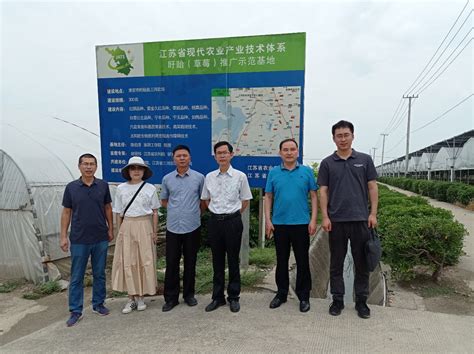 我校承担的“江苏省草莓产业技术体系盱眙推广示范基地”项目通过验收-生命科学与食品工程学院