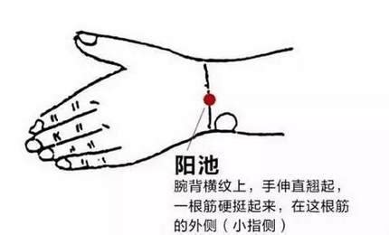 阳池准确位置图片