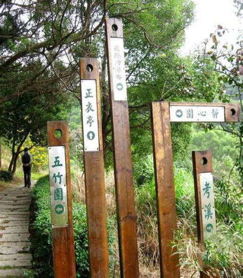 2019共青国家森林公园门票,上海共青国家森林公园游玩攻略,共青国家森林公园游览攻略路线/地址/门票价格-【去哪儿攻略】