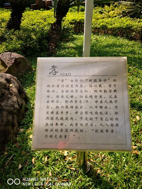 2023晓港公园游玩攻略,小岗公园是广州市非常有名的...【去哪儿攻略】