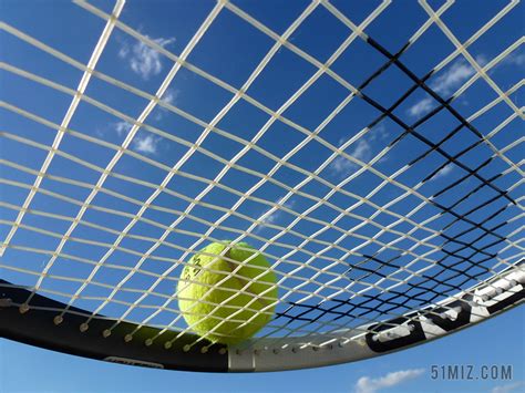 网球拍素材-网球拍图片-网球拍素材图片下载-觅知网