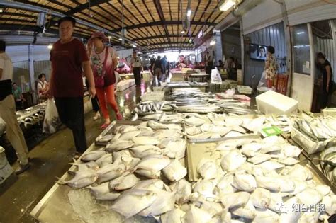 最新海鲜价格来了！渤海开海首日记者探访烟台海鲜市场：外地海鲜数量多，本地海鲜价格高_水产品