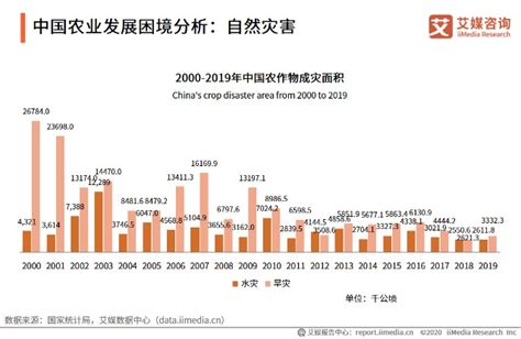 面向2035年的中国农业现代化战略__财经头条
