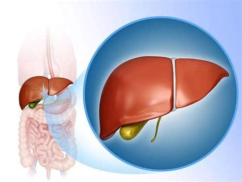 肝脏有“毒素”，身体会有这5个表现，一发现就要及时排肝毒了