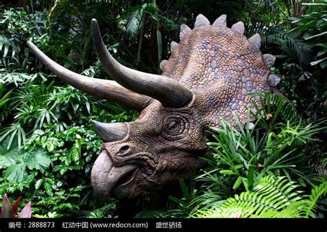 三角龙,恐龙,三维图形,白色背景,侏罗纪,分离着色,褐色,水平画幅,素食,食草动物摄影素材,汇图网www.huitu.com
