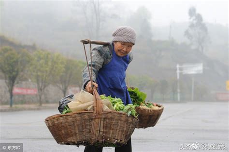 贵州81岁老奶奶冒雨卖菜，步行4公里收入只有7元钱，还收到过假钱|贵州|卖菜|老人_新浪新闻