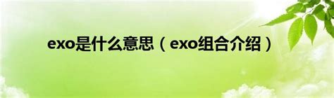 EXO首张专辑销量突破百万 创12年来最佳|EXO|专辑|销量_新浪娱乐_新浪网