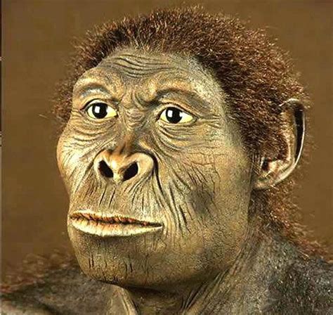 揭秘原始人进化史：艺术家复活“人类祖先” | 氧分子网