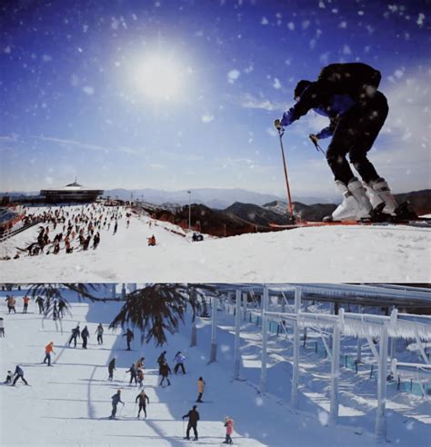2024神农架国际滑雪场-旅游攻略-门票-地址-问答-游记点评，神农架旅游旅游景点推荐-去哪儿攻略