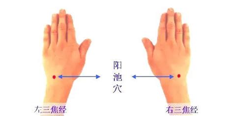 阳池准确位置图片