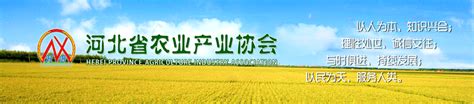 河北辐照农业科技创新驿站举办玉米新品种现场观摩会 - 中国核技术网