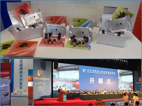 优尔生随武汉开发区企业代表团参加第十二届华创会 - 武汉云克隆科技股份有限公司官方网站