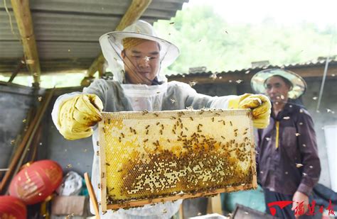 中国农业科学院蜜蜂研究所 - 成熟蜂蜜生产变革——中国蜂业需要乘风而上