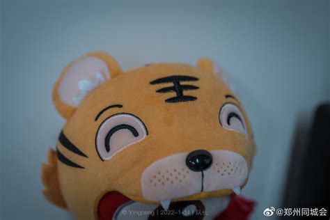 “虎年吉祥物”来了！三星堆发掘现场负责人拆“盲盒” - 周到上海