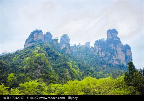 张家界的山是独一无二绿色高山的，一根根的十分拔地而起，雄伟壮观。中国只有湖南有，湖南只有张家界有。|ZZXXO