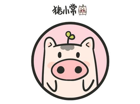 猪小常的进化史_糖米-站酷ZCOOL