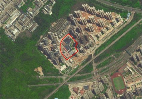 深圳市规划和自然资源局龙岗管理局关于宝龙街道宝荷九年一贯制学校新建工程拟使用龙岗区林地的公示--国土资源