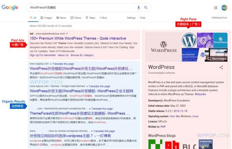 SERP - 获得Google自然搜索结果排名（SERP）教程 - WordPress外贸建站专家