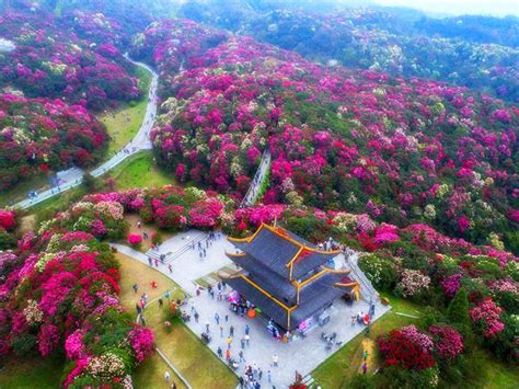 贵州省最值得去的16个旅游景点排名 -爱心传播.com