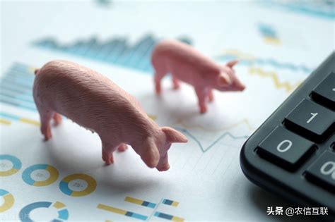 发改委监测显示，猪价或还能上涨！ | 爱猪网