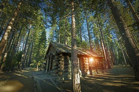 小木屋系列：《大森林里的小木屋》|大森林里的小木屋|木屋|儿童文学_新浪新闻